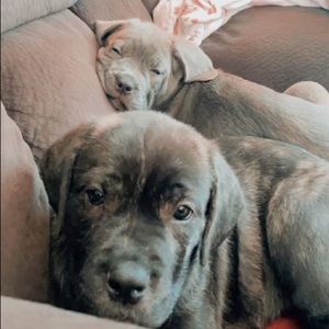 Meet your Posher, Valerie